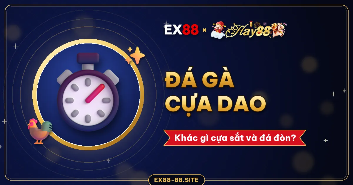 Đá gà cựa dao là gì? So sánh với cựa sắt, đá đòn và lưu ý cho người mới
