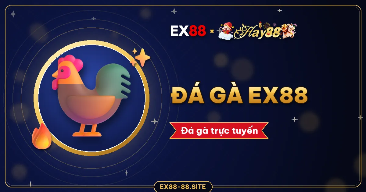 Đá gà EX88 – đá gà trực tuyến cho người mới